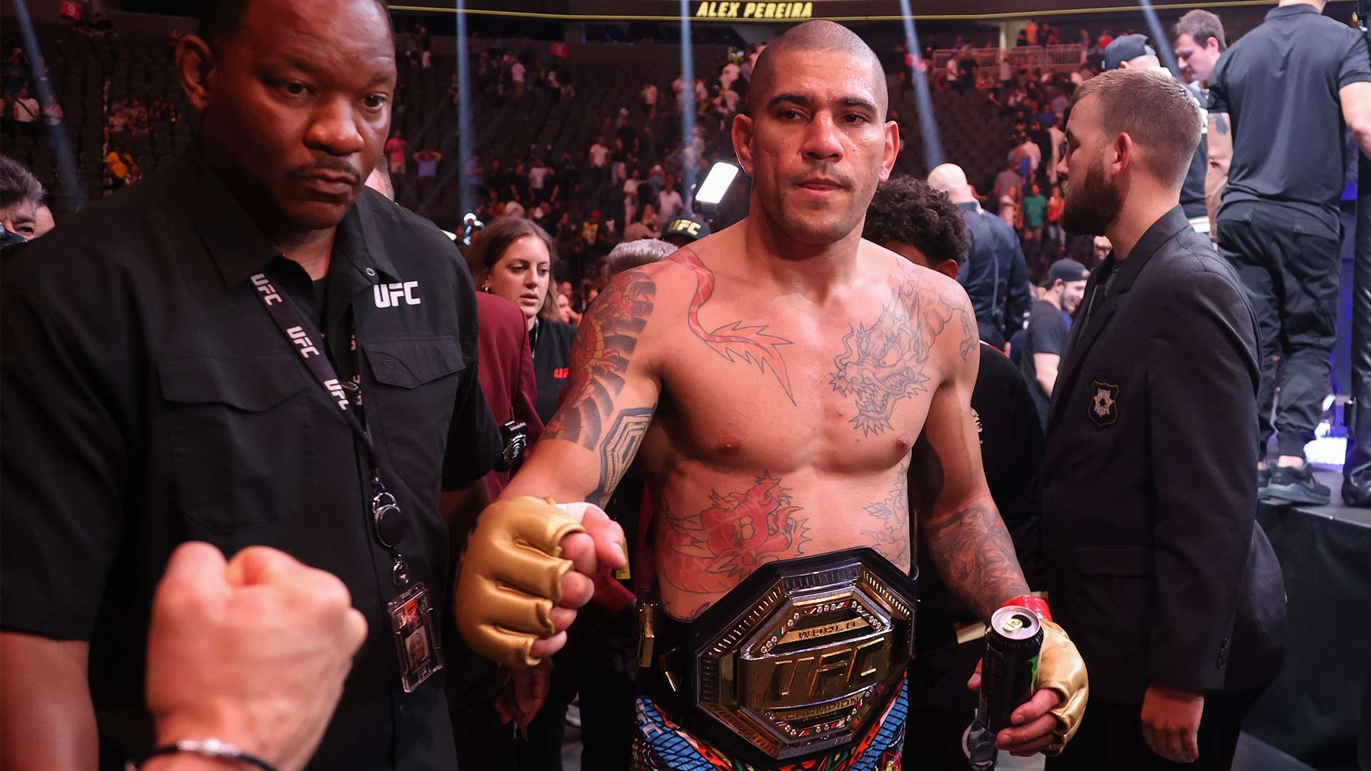 本文将为您 本文将为您